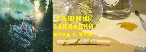 прущие грибы Верея