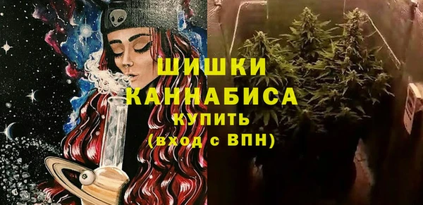 прущие грибы Верея