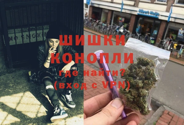 прущие грибы Верея