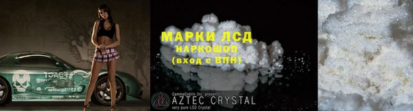прущие грибы Верея