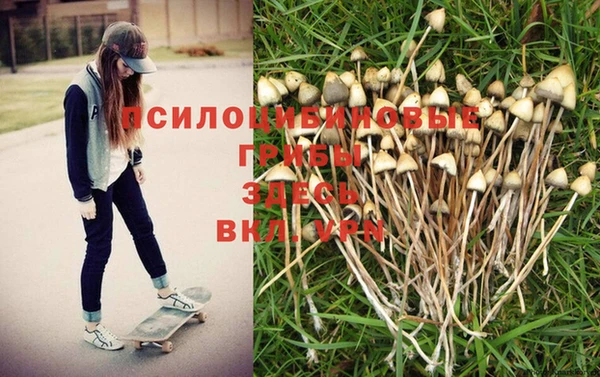 стафф Верхнеуральск