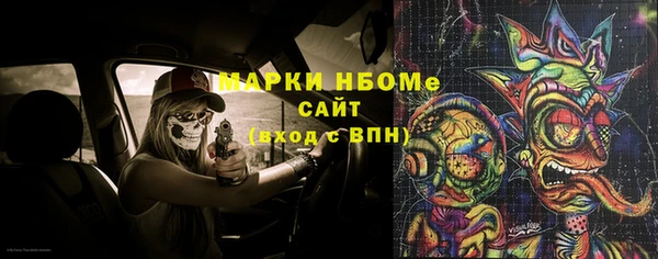 прущие грибы Верея