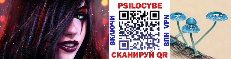 Псилоцибиновые грибы мицелий  Купить закладки  Вельск 